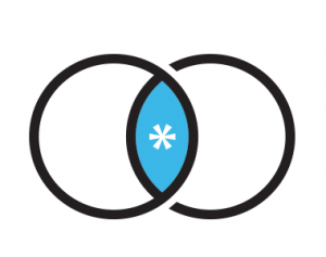 Icon Program Management